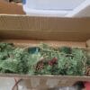 Scott Living Cashmere 6' Garland with Berries and Pinecones Scott Living Cashmere 6' Garland with Berries and Pinecones