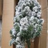 Bethlehem Lights 30" Flocked Overlit Stake Tree with Bow Bethlehem Lights 30" Flocked Overlit Stake Tree with Bow
