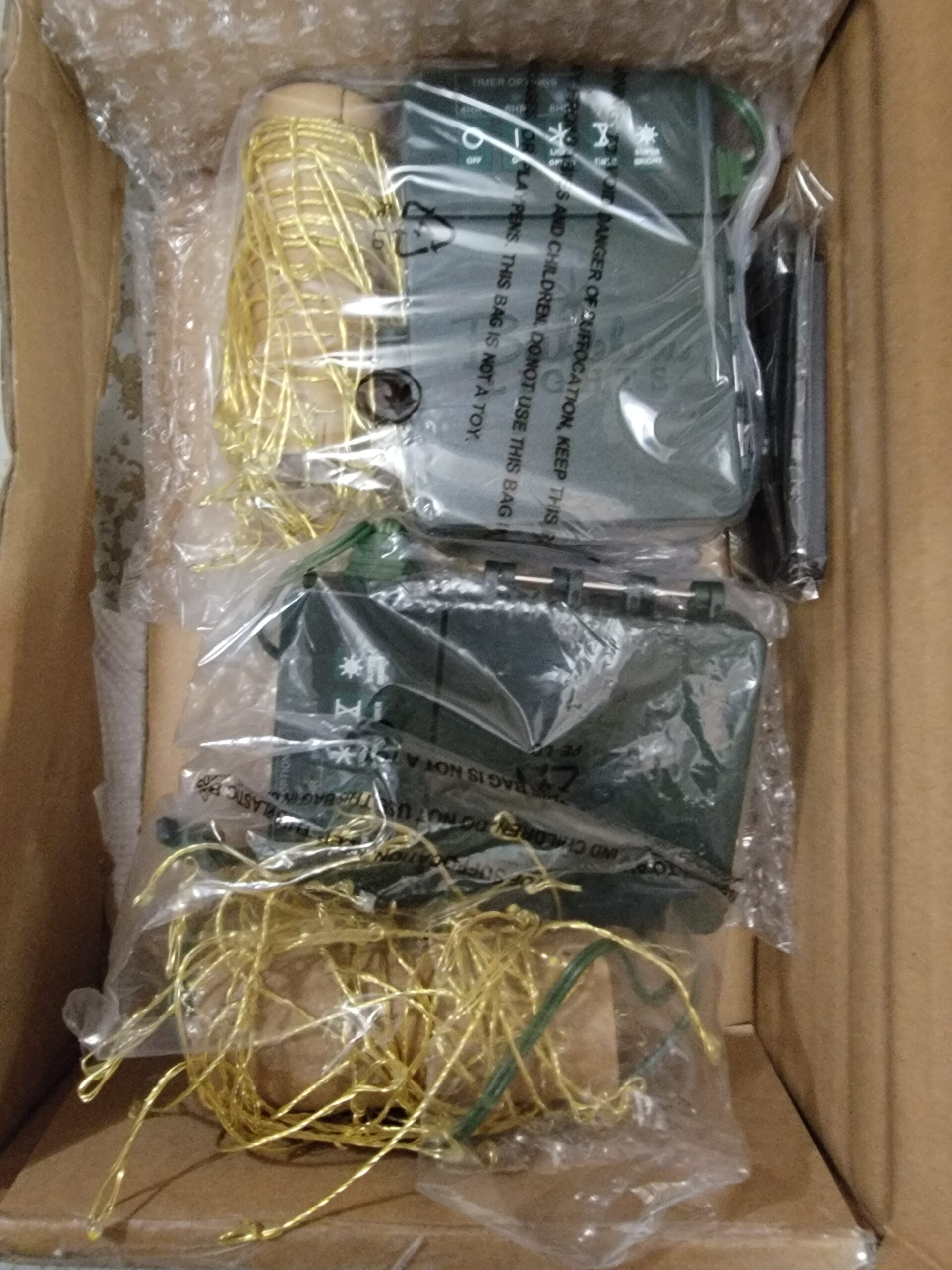 Bethlehem Lights Set of 2 6' Fairy Branch Lights with Remote