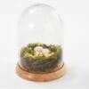 Martha Stewart Illuminated Spring Nest Cloche Martha Stewart Illuminated Spring Nest Cloche