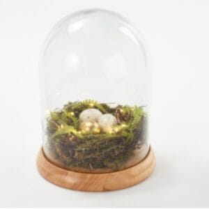 Martha Stewart Illuminated Spring Nest Cloche