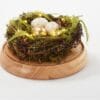 Martha Stewart Illuminated Spring Nest Cloche Martha Stewart Illuminated Spring Nest Cloche