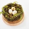 Martha Stewart Illuminated Spring Nest Cloche Martha Stewart Illuminated Spring Nest Cloche