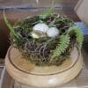 Martha Stewart Illuminated Spring Nest Cloche Martha Stewart Illuminated Spring Nest Cloche