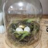 Martha Stewart Illuminated Spring Nest Cloche Martha Stewart Illuminated Spring Nest Cloche