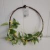 13.5" Faux Forsythia Flower Wreath - Hearth & Hand with Magnolia