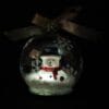Winter Lane 6-pack Illuminated LED Glass Globes with Gift Bags