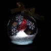 Winter Lane 6-pack Illuminated LED Glass Globes with Gift Bags