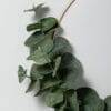14" Faux Eucalyptus Wire Wreath - Hearth & Hand with Magnolia