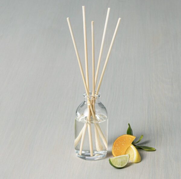 3 fl oz Citrus Grove Seasonal Oil Diffuser - Hearth & Hand with Magnolia