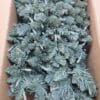 Bethlehem Lights 48" Blue Spruce Color Flip Overlit Swag (No Remote)
